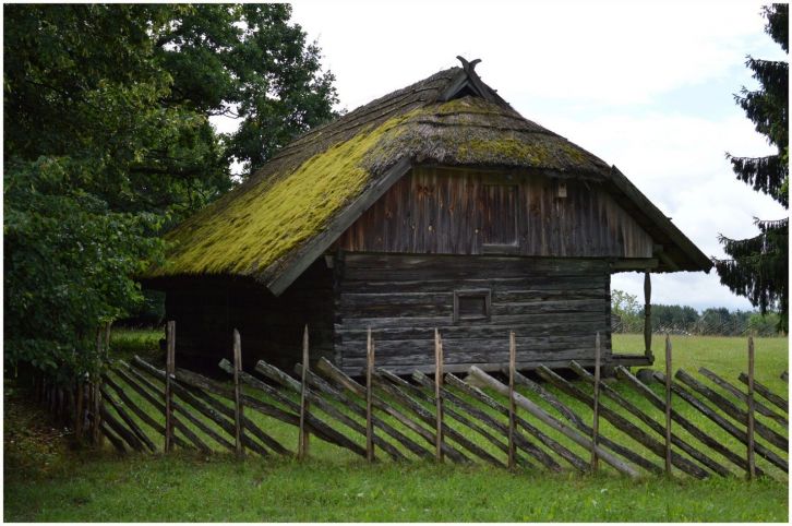 nuotrauka