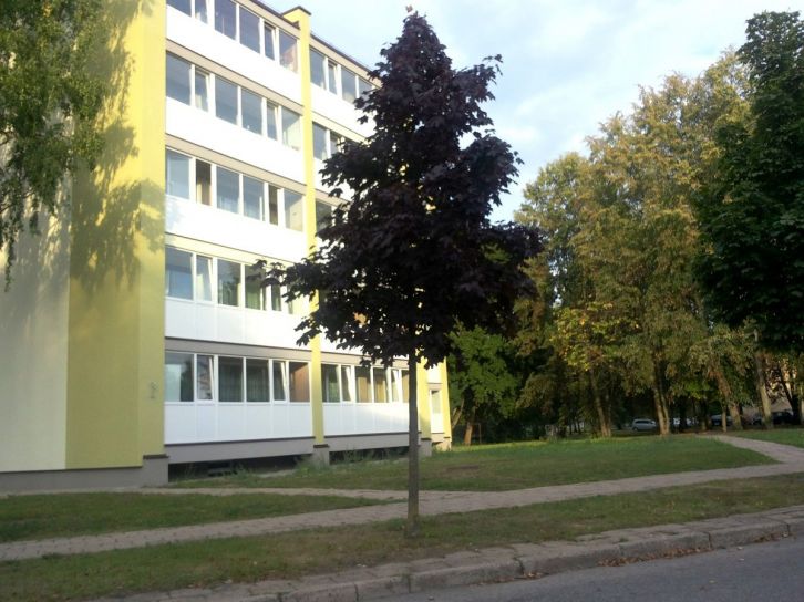 nuotrauka