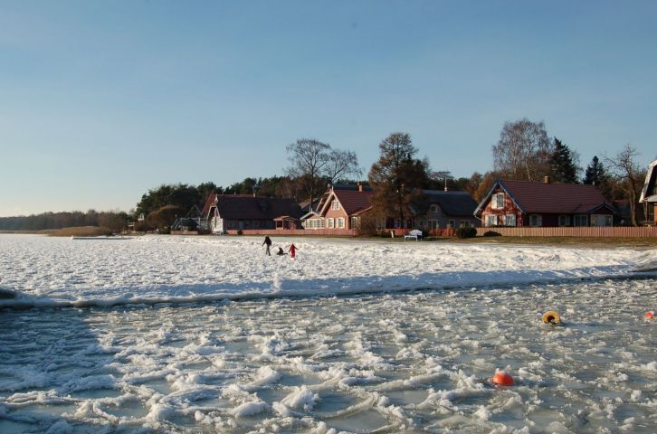 nuotrauka