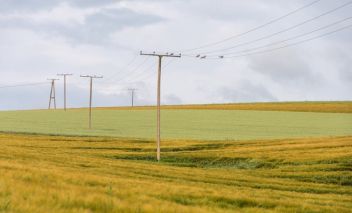 nuotrauka