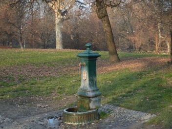 nuotrauka