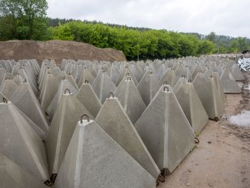 nuotrauka