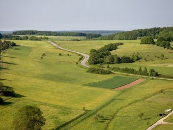 nuotrauka