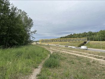 nuotrauka