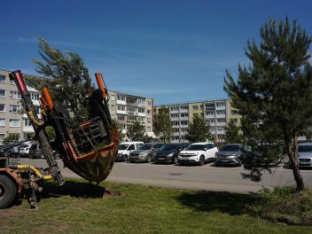 nuotrauka
