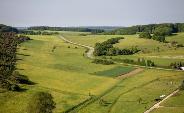 nuotrauka