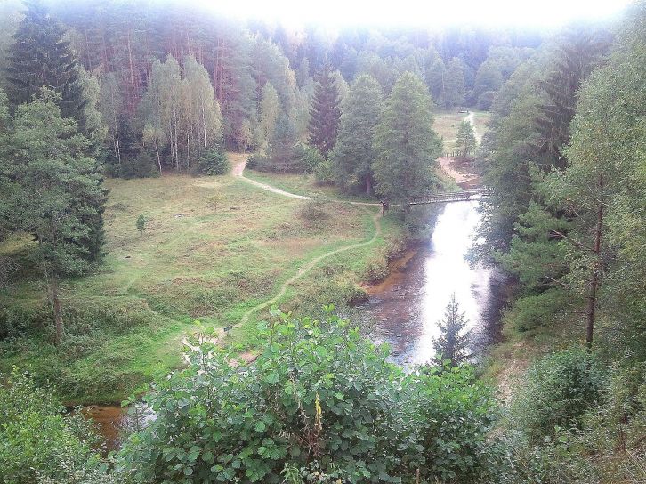 nuotrauka