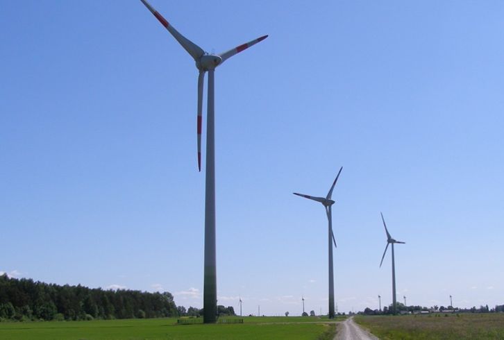 nuotrauka