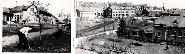 LSMU 